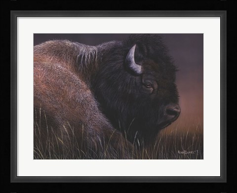 Framed American Icon- Bison Print