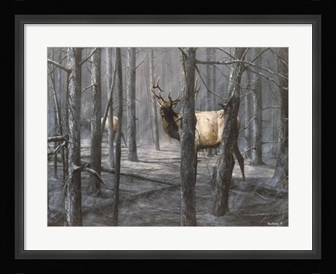 Framed Consequence of Fire Print