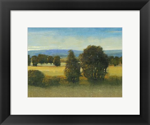 Framed Verdant Meadow I Print