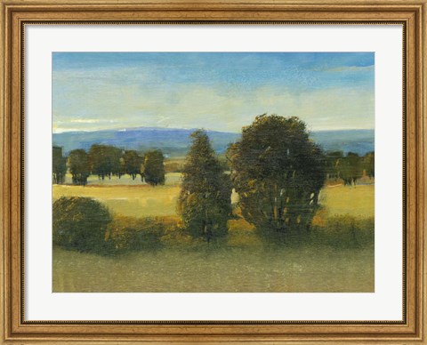 Framed Verdant Meadow I Print