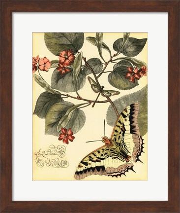 Framed Whimsical Butterflies I Print
