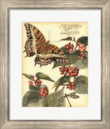Framed Whimsical Butterflies II Print