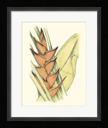 Framed Elegant Tropics IV Print