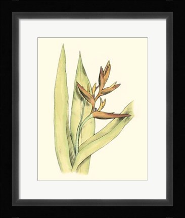 Framed Elegant Tropics V Print