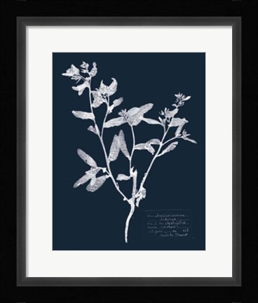 Framed Impressions on Indigo III Print