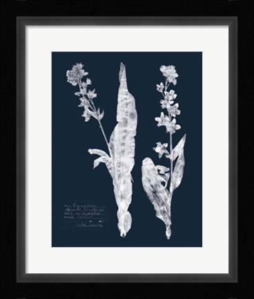 Framed Impressions on Indigo IV Print