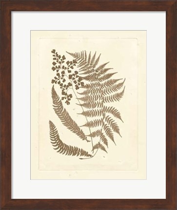 Framed Sepia Ferns III Print