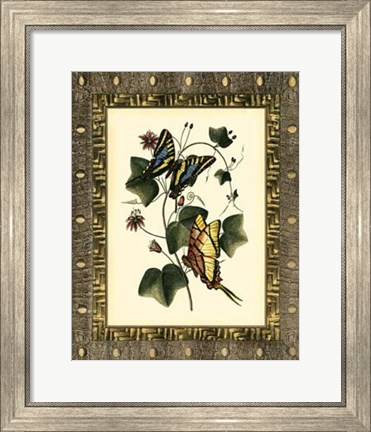 Framed Leather Framed Butterflies II Print