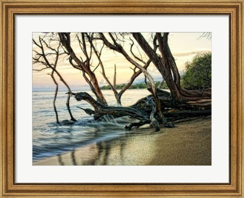 Framed Reaching for the Sea I Print