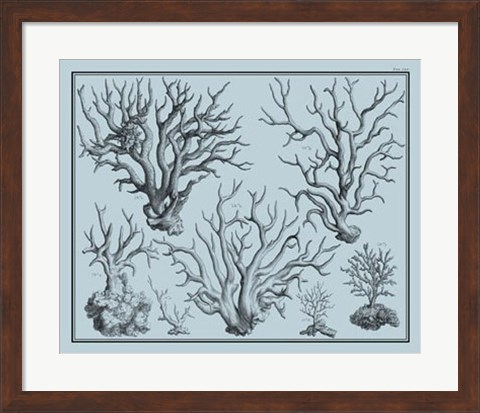 Framed Aegean Coral on Blue I Print