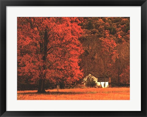Framed Farm House on a Autumn Morn' Print