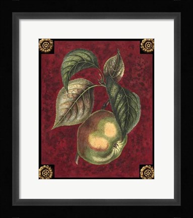 Framed Pomme De Canada Print