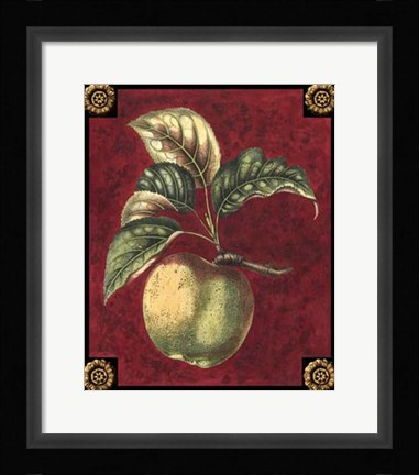 Framed Pomme De Hubbardston Print