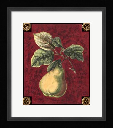 Framed Poire De Portugal Print