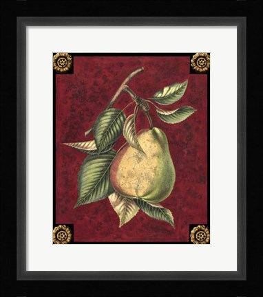 Framed Poire D'Arenburg Print