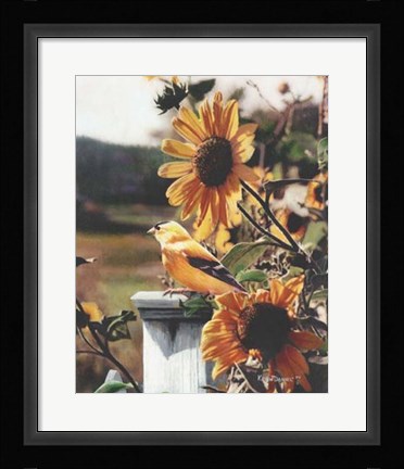 Framed Golden Morning Print