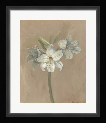 Framed Blooms &amp; Stems IV Print