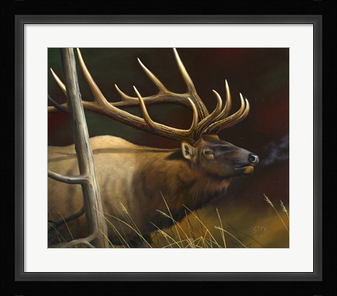 Framed Elk Portrait II Print