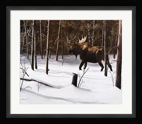 Framed Winter Forage Print