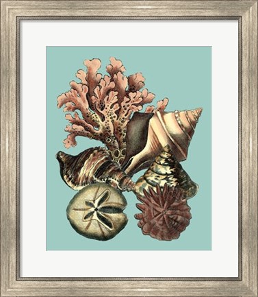 Framed Printed Shell &amp; Coral Collection II Print