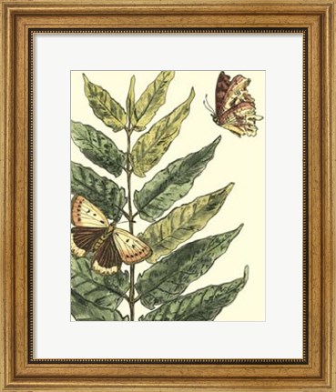 Framed Butterflies &amp; Leaves I Print
