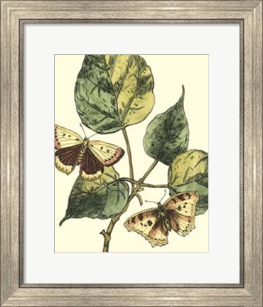 Framed Butterflies &amp; Leaves II Print
