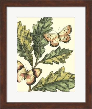 Framed Butterflies &amp; Leaves III Print