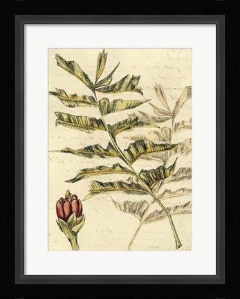 Framed Reminiscence III Print