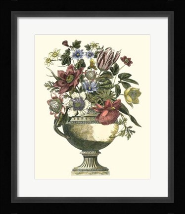 Framed Floral Splendor II Print