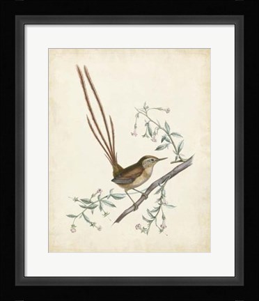 Framed Delicate Birds I Print