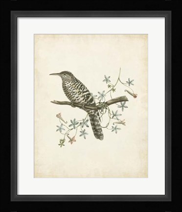 Framed Delicate Birds IV Print