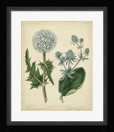 Framed Cottage Florals III Print
