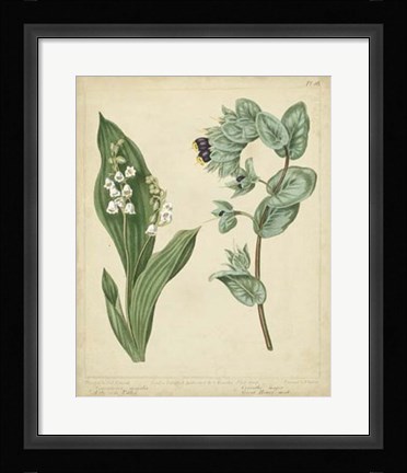 Framed Cottage Florals IV Print