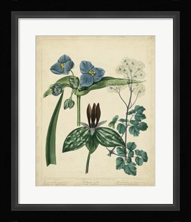 Framed Cottage Florals V Print