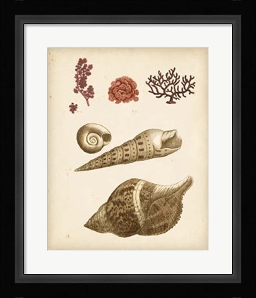 Framed Coastal Memories IV Print