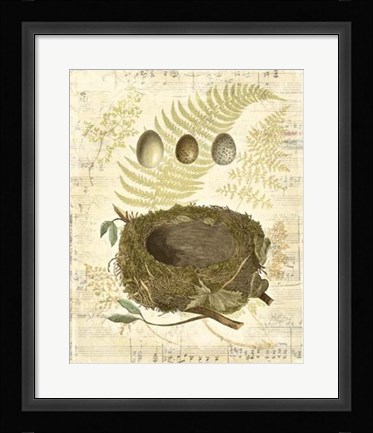 Framed Melodic Nest &amp; Eggs I Print