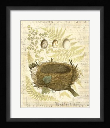 Framed Melodic Nest &amp; Eggs II Print