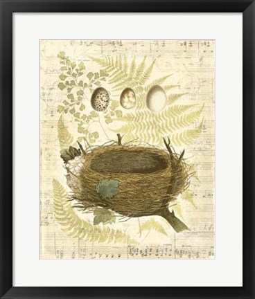 Framed Melodic Nest &amp; Eggs II Print