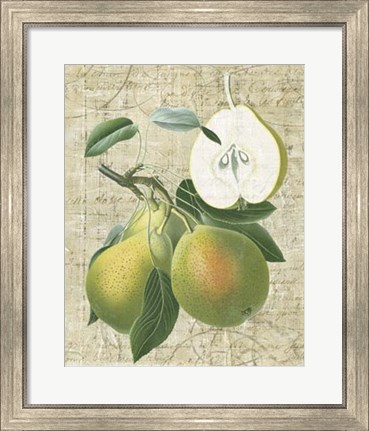 Framed Orchard Medley II Print