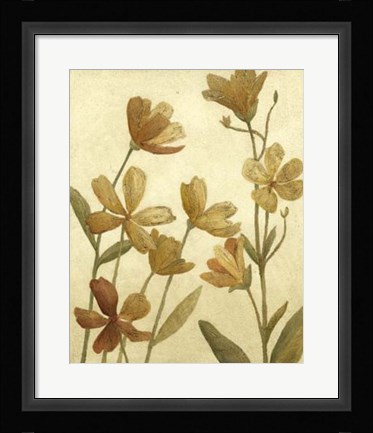 Framed Wildflower Field II Print