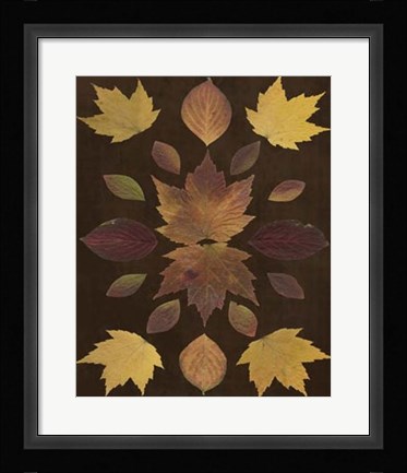 Framed Kaleidoscope Leaves VI Print