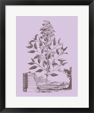 Framed Romantic Jasmine Print