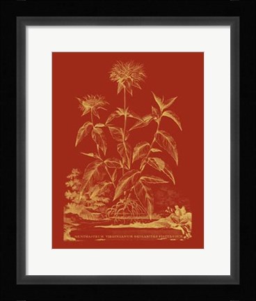 Framed Paprika Bouquet II Print