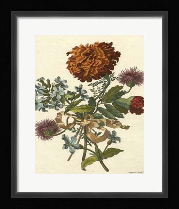 Framed Floral Posy III Print