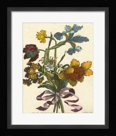 Framed Floral Posy IV Print