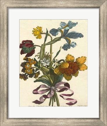 Framed Floral Posy IV Print