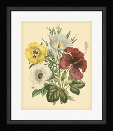 Framed Garden Bouquet I Print