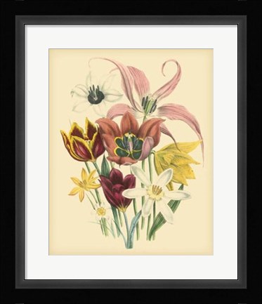Framed Garden Bouquet IV Print