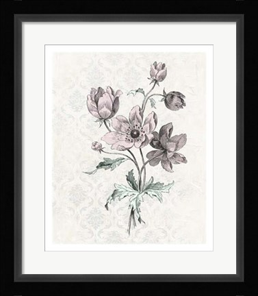Framed Victorian Blooms II Print