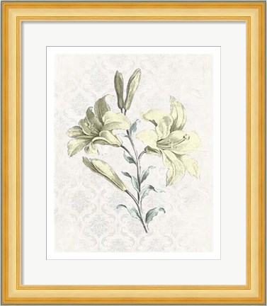 Framed Victorian Blooms III Print